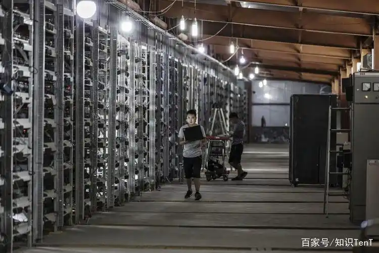 A collection of powerful GPUs assembled in a mining rig.